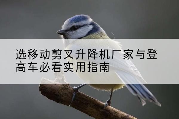 韶关电动升降机厂家-选移动剪叉升降机厂家与登高车必看实用指南