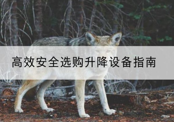 韶关升降货梯厂家推荐-*安全选购升降设备指南