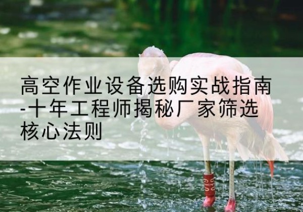 韶关剪叉式升降机厂家-高空作业设备选购实战指南-十年工程师揭秘厂家筛选核心法则